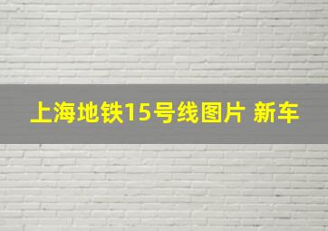 上海地铁15号线图片 新车